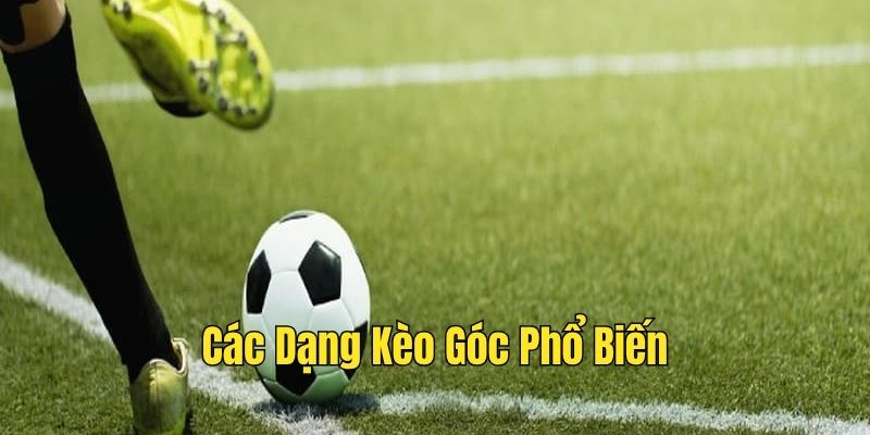 Các dạng kèo góc cơ bản