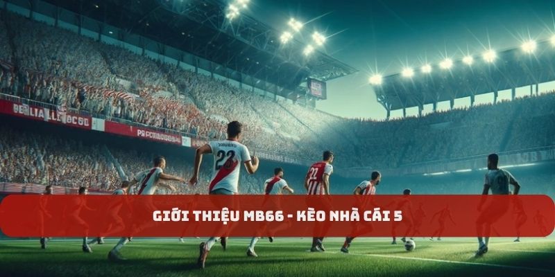 Giới thiệu MB66