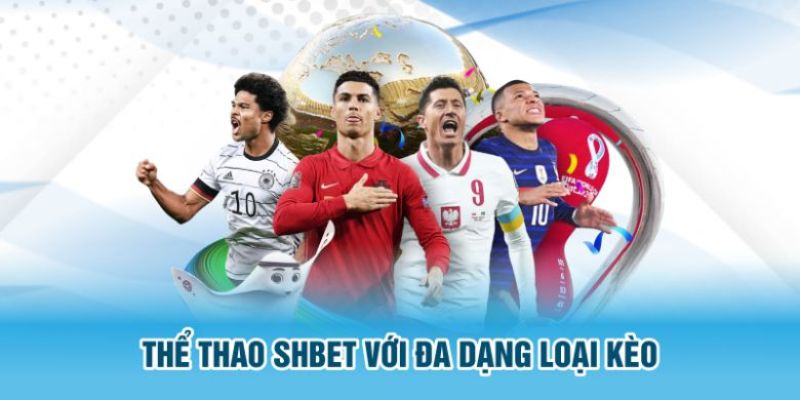 Khái quát giới thiệu SHBET chi tiết