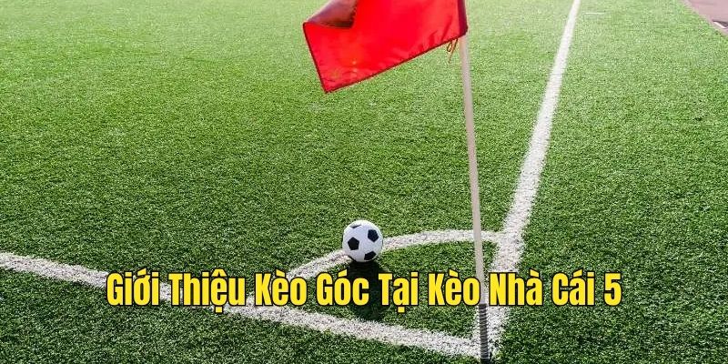 Tổng quát về cá cược kèo góc